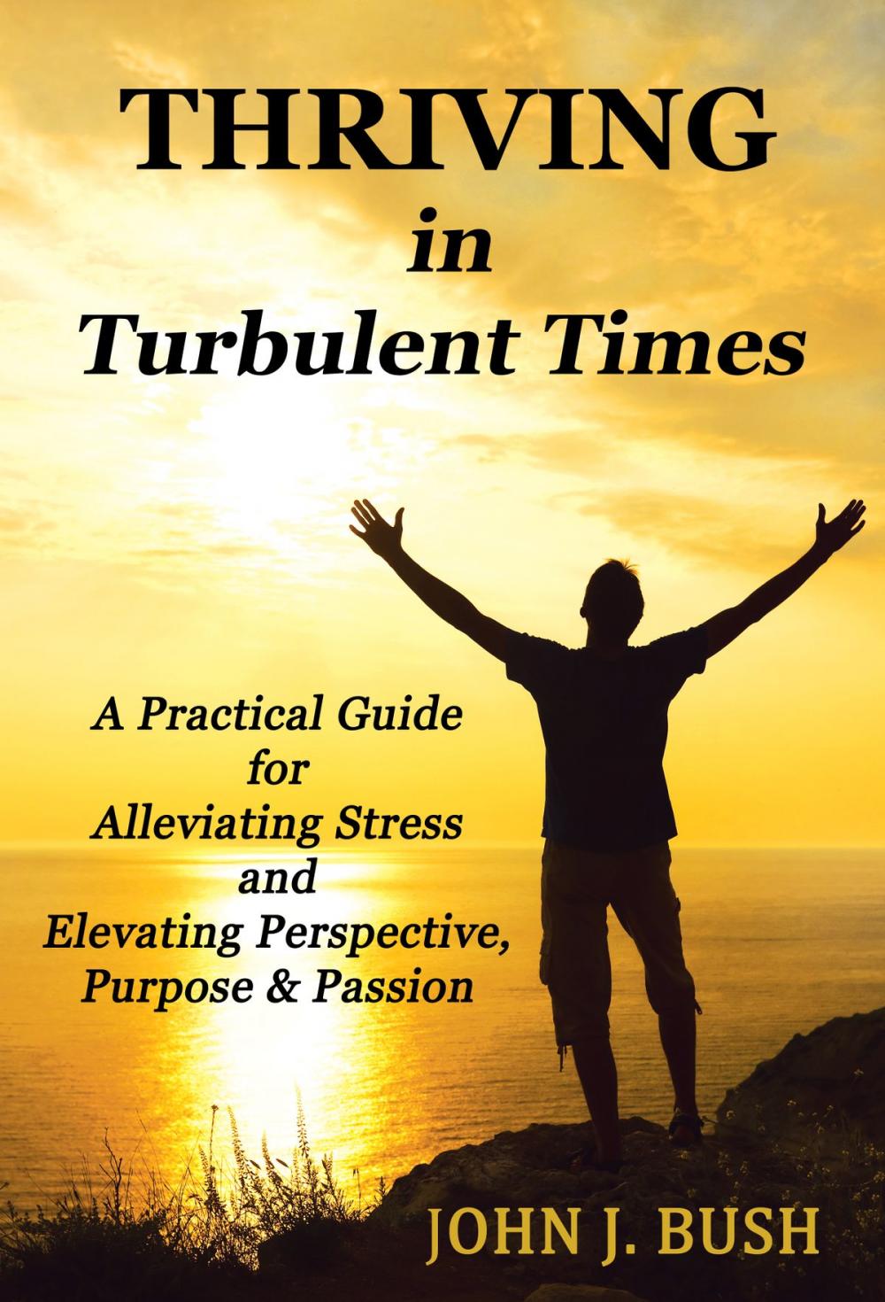 Big bigCover of Thriving in Turbulent Times: A Practical Guide for Alleviating Stress and Elevating Perspective, Purpose & Passion