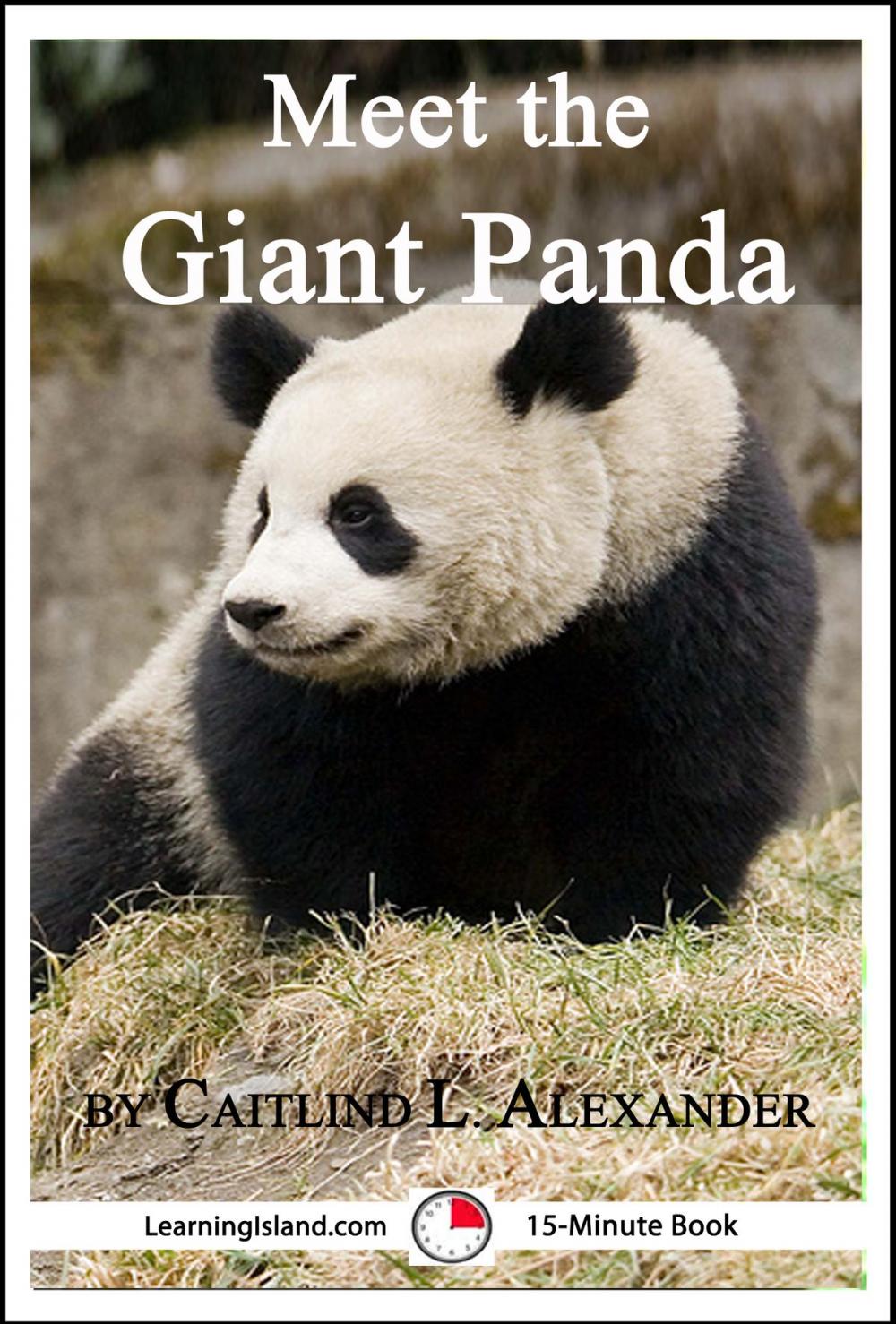 Big bigCover of Meet the Giant Panda: A 15-Minute Book