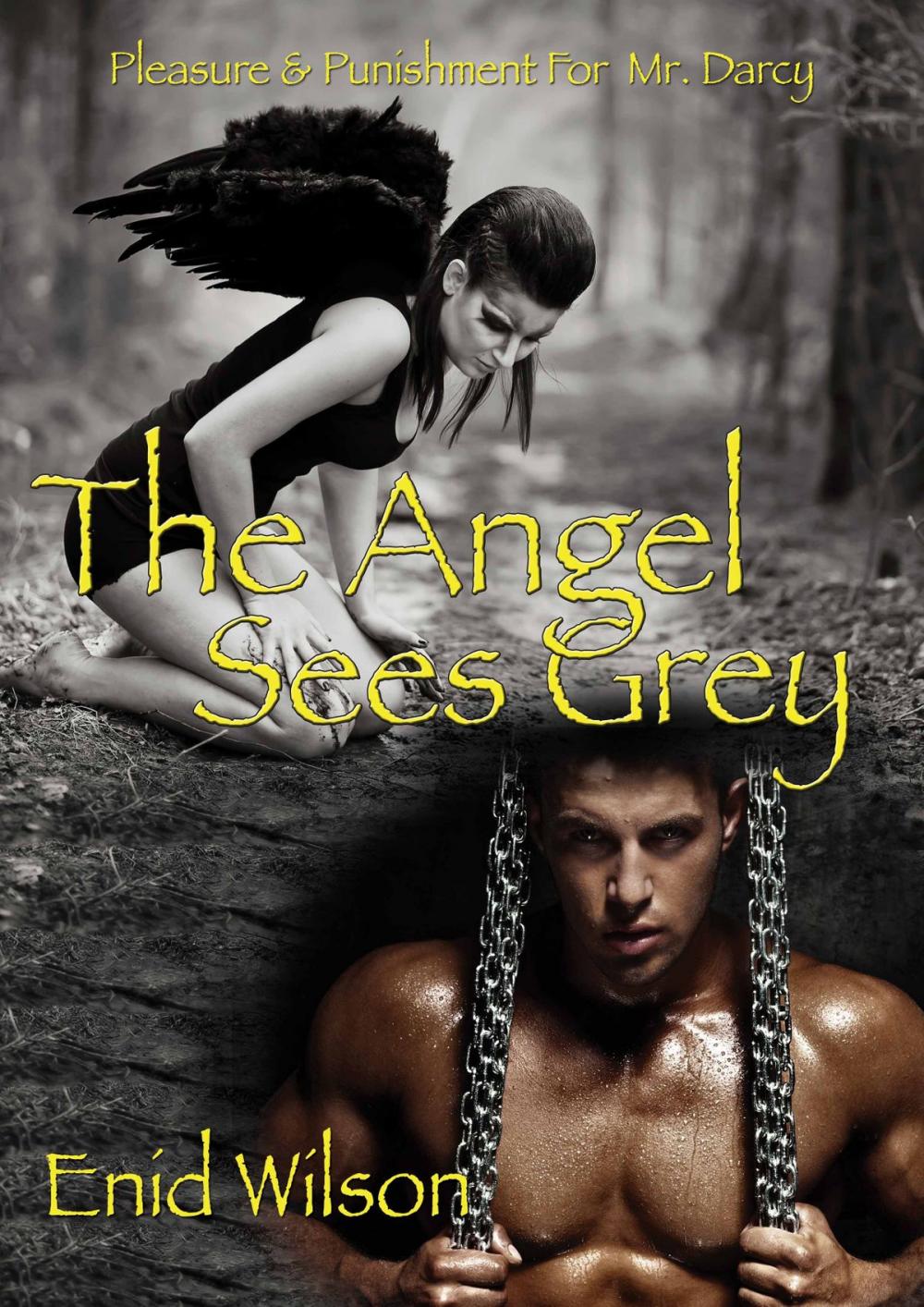Big bigCover of The Angel Sees Grey: Pleasure and Punishment for Mr. Darcy