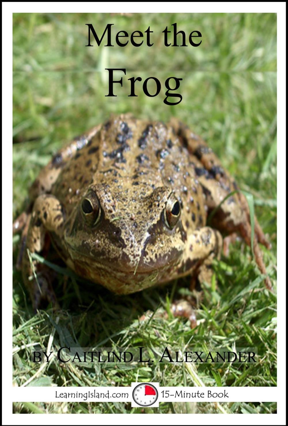 Big bigCover of Meet the Frog: A 15-Minute Book for Early Readers