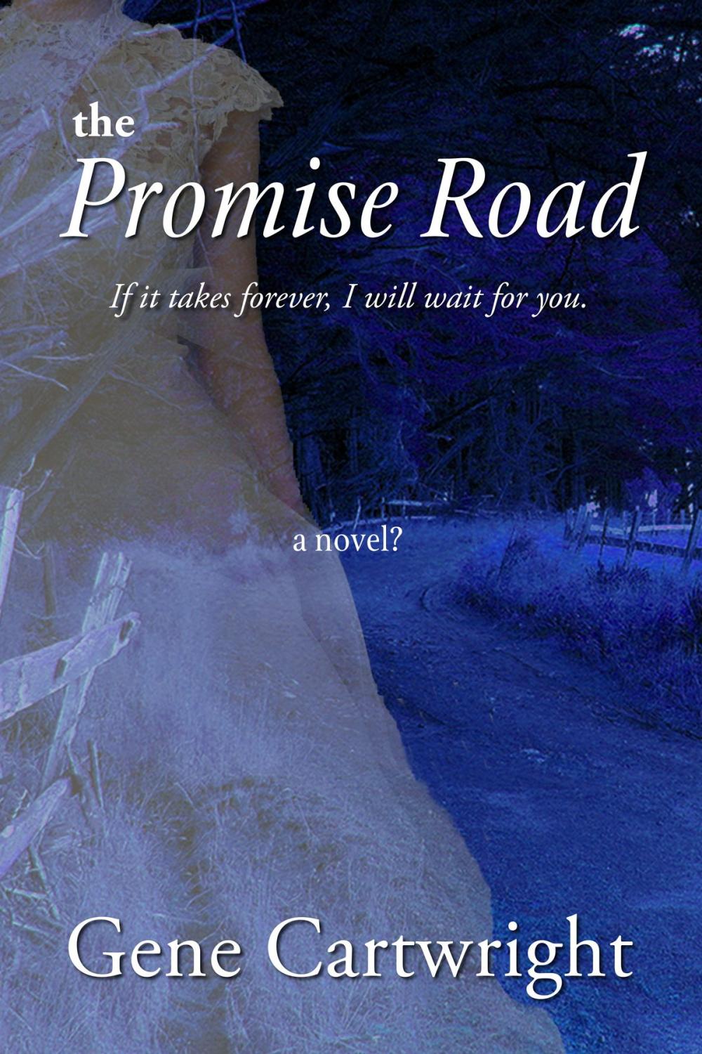 Big bigCover of The Promise Road