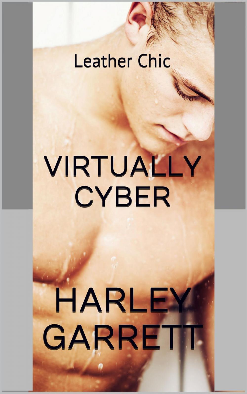 Big bigCover of Virtually Cyber