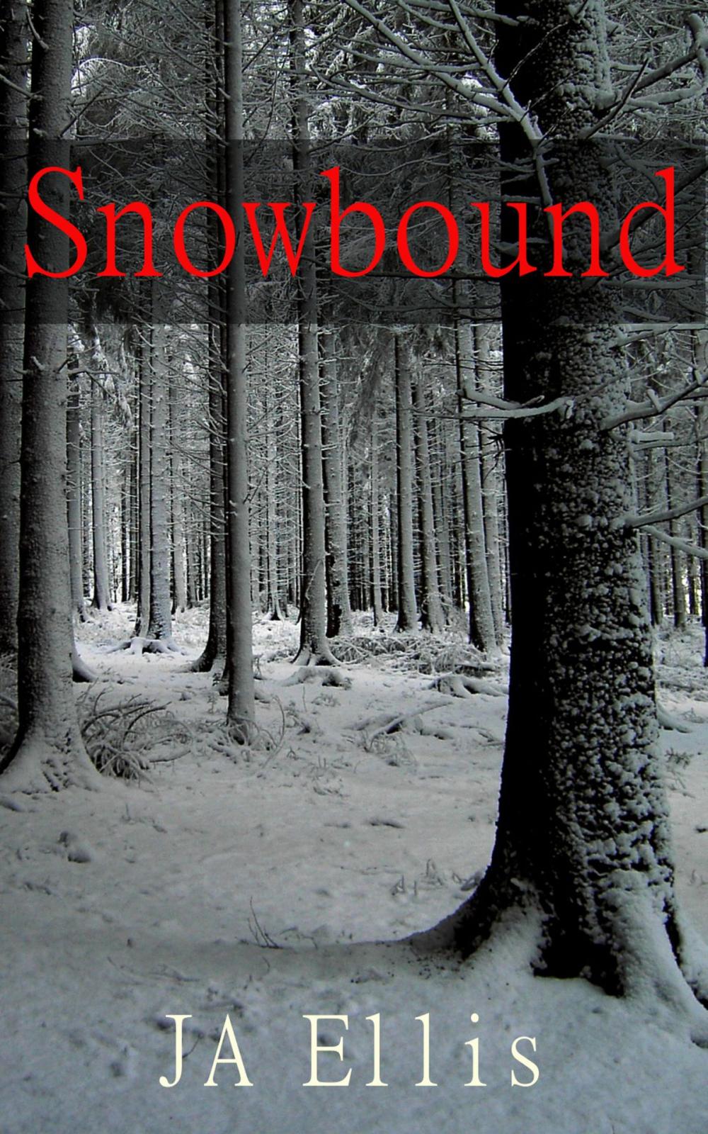 Big bigCover of Snowbound