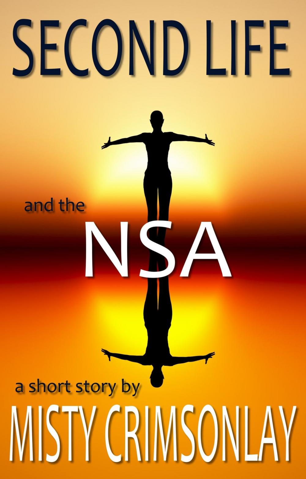 Big bigCover of Second Life and the NSA