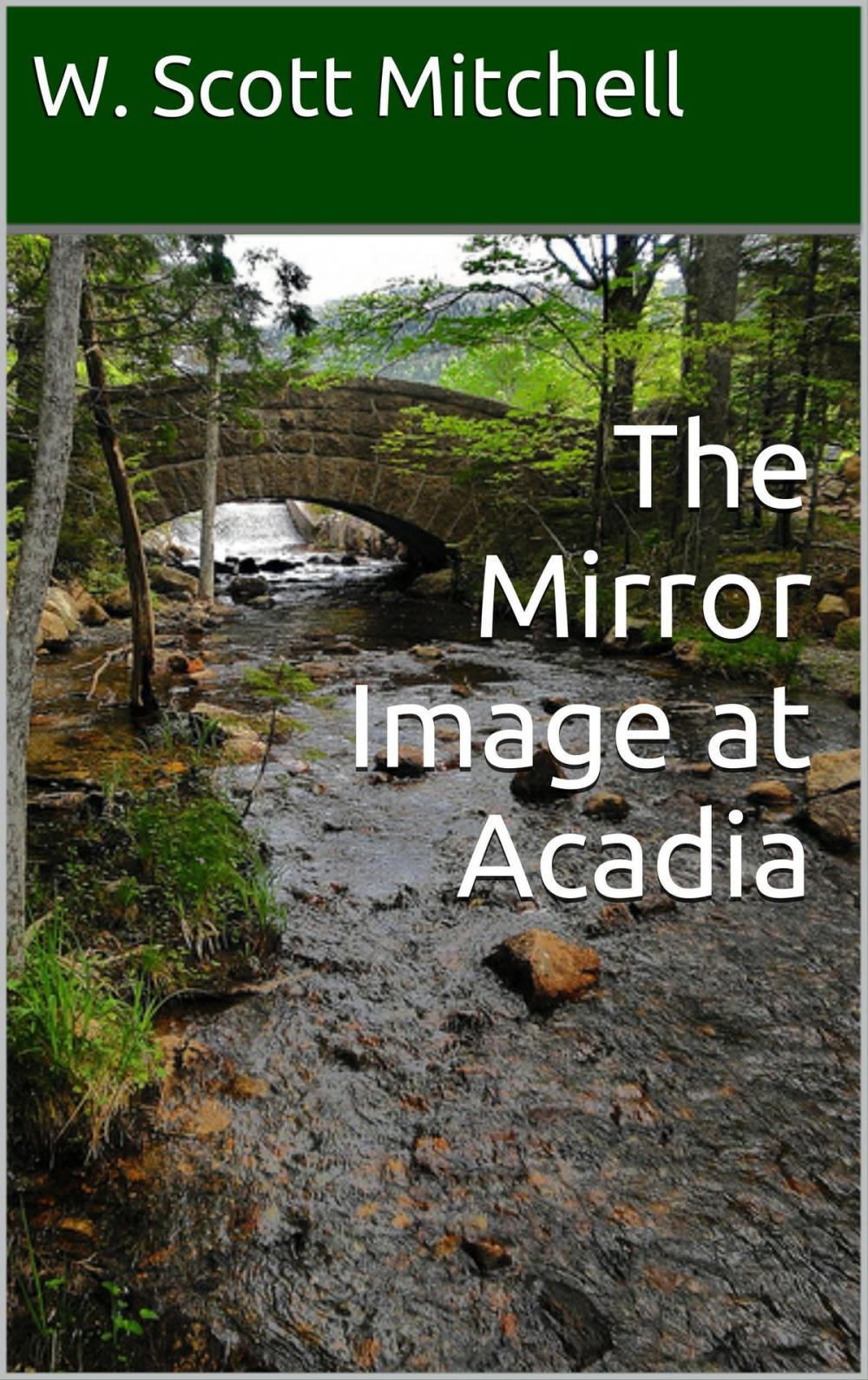 Big bigCover of The Mirror Image at Acadia