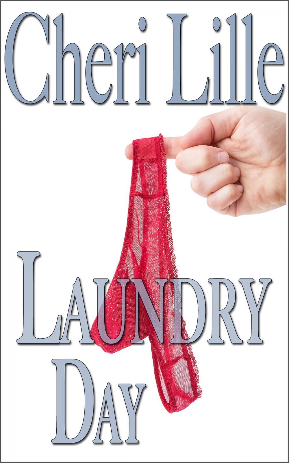 Big bigCover of Laundry Day