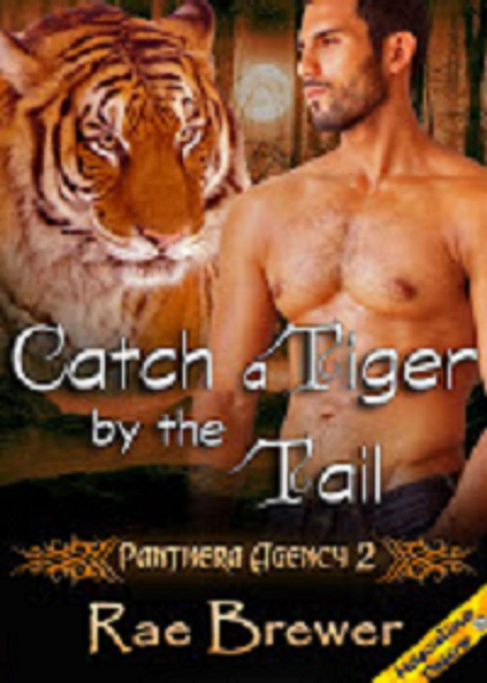 Big bigCover of Catch a Tiger by the Tail