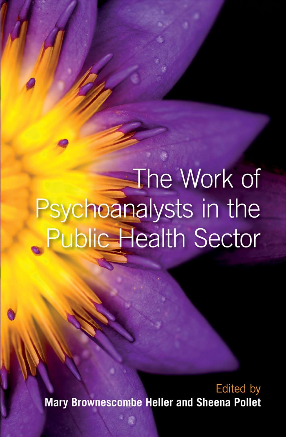 Big bigCover of The Work of Psychoanalysts in the Public Health Sector