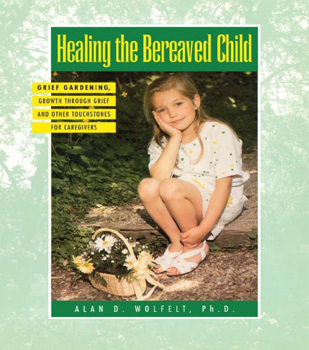 Big bigCover of Healing The Bereaved Child