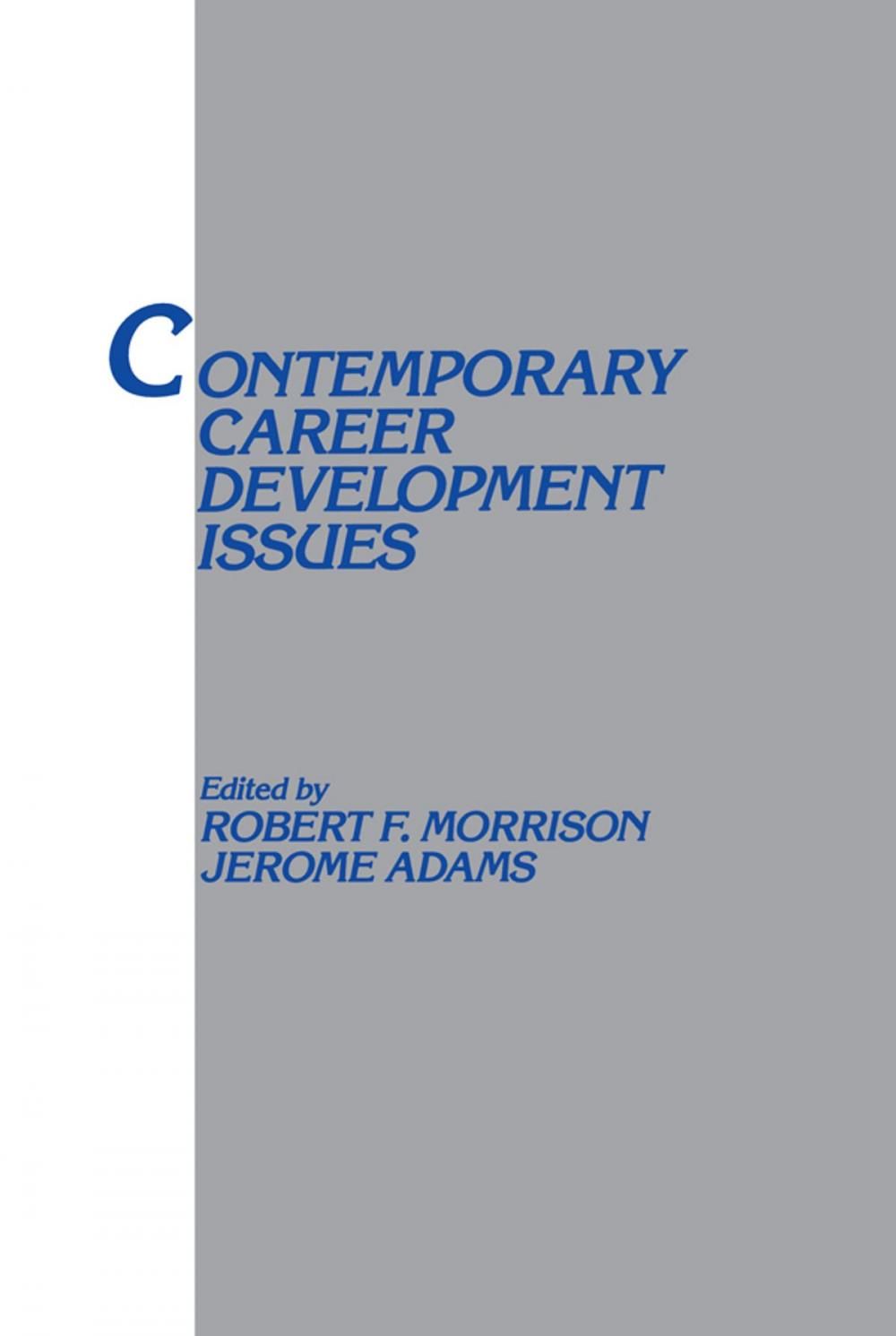 Big bigCover of Contemporary Career Development Issues