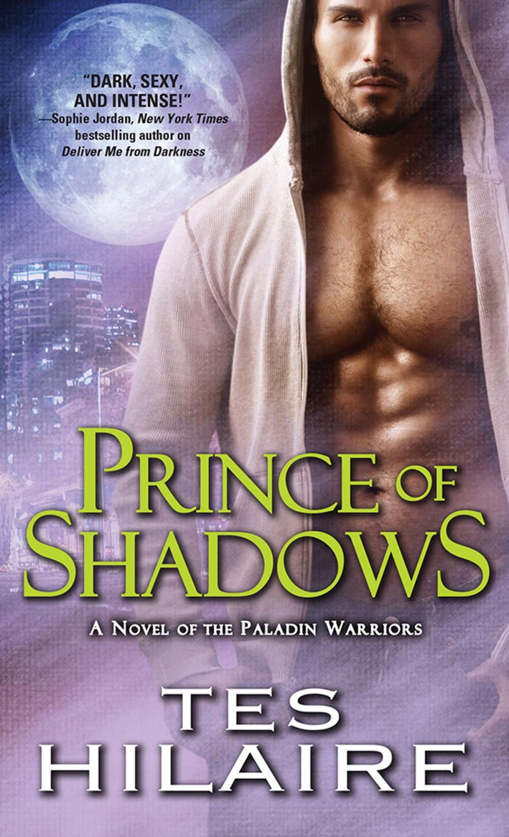 Big bigCover of Prince of Shadows