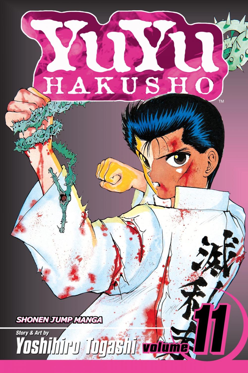 Big bigCover of YuYu Hakusho, Vol. 11