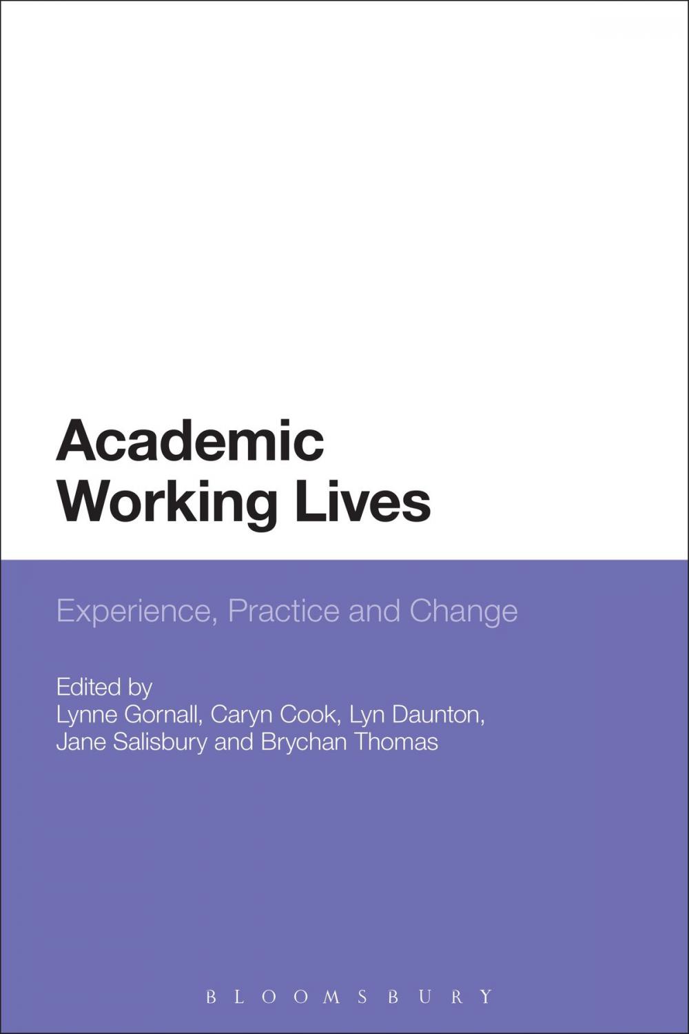 Big bigCover of Academic Working Lives