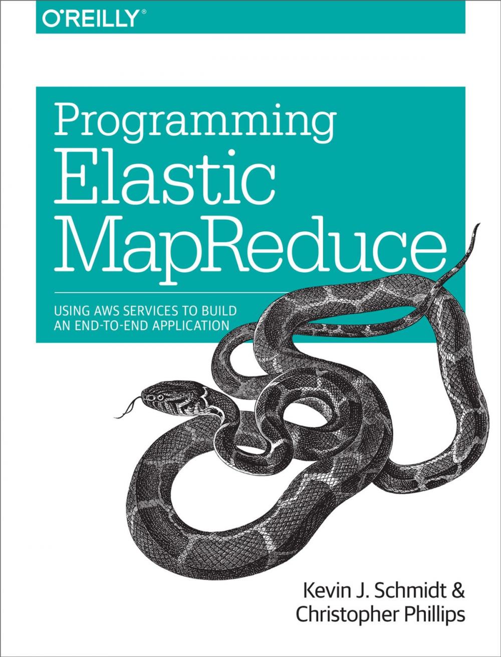 Big bigCover of Programming Elastic MapReduce