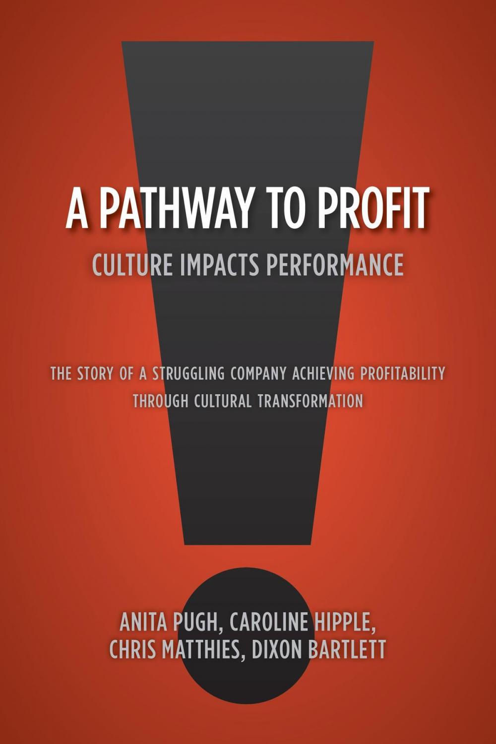 Big bigCover of A Pathway to Profit