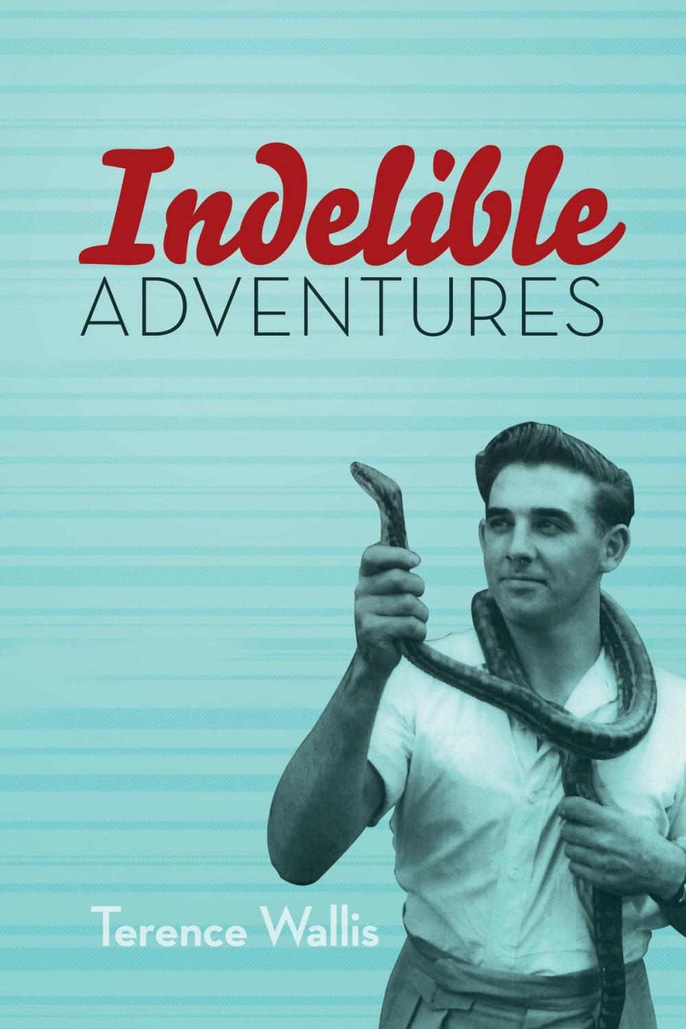 Big bigCover of Indelible Adventures