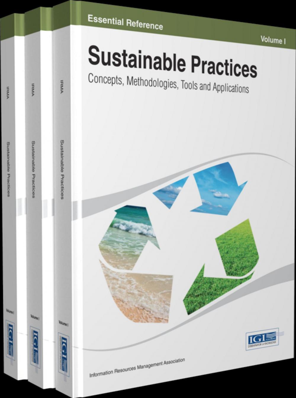 Big bigCover of Sustainable Practices