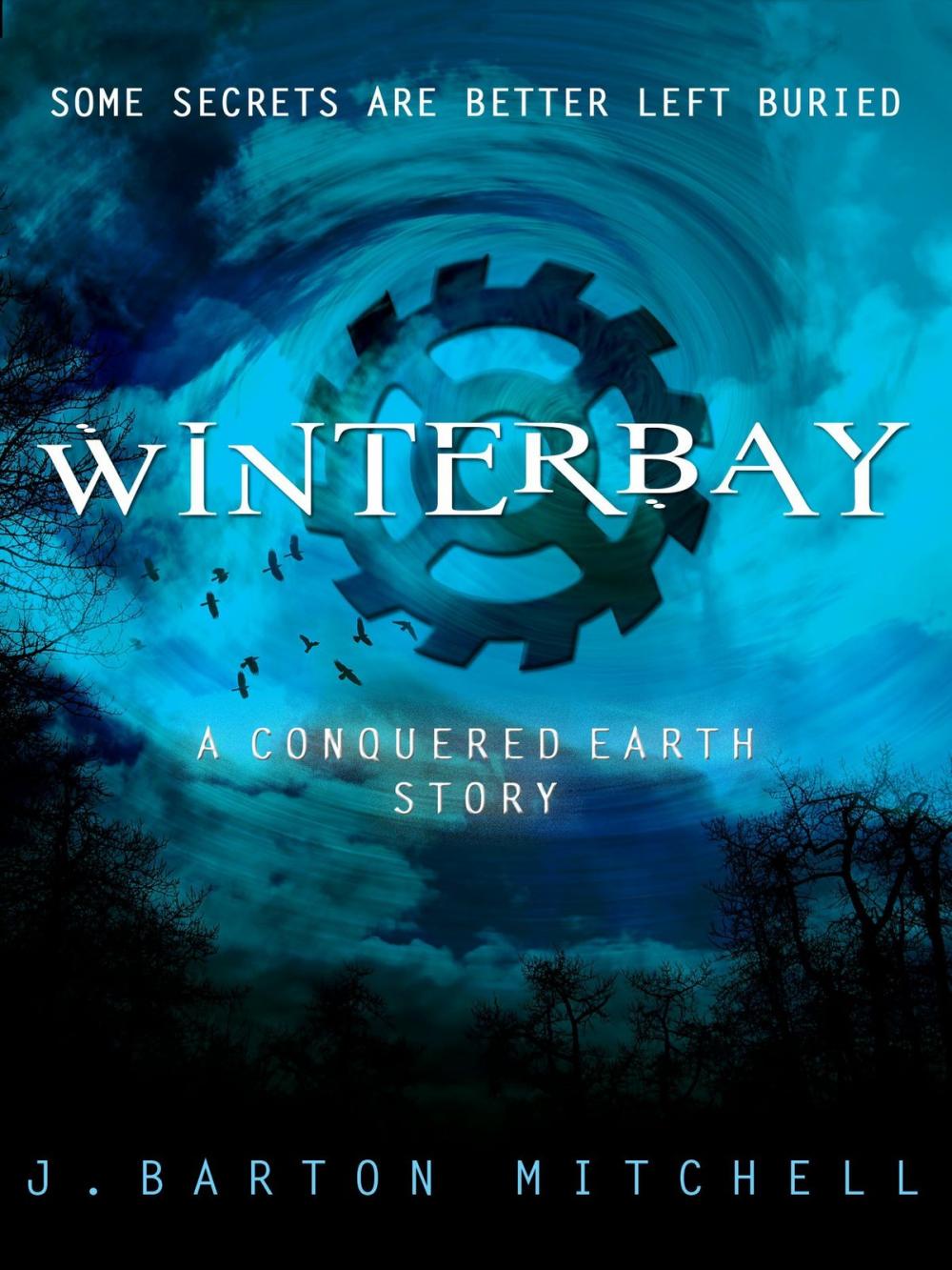 Big bigCover of Winterbay