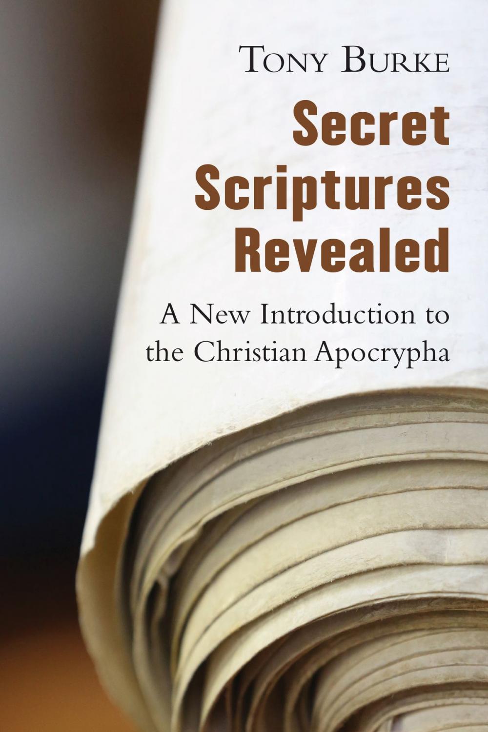 Big bigCover of Secret Scriptures Revealed