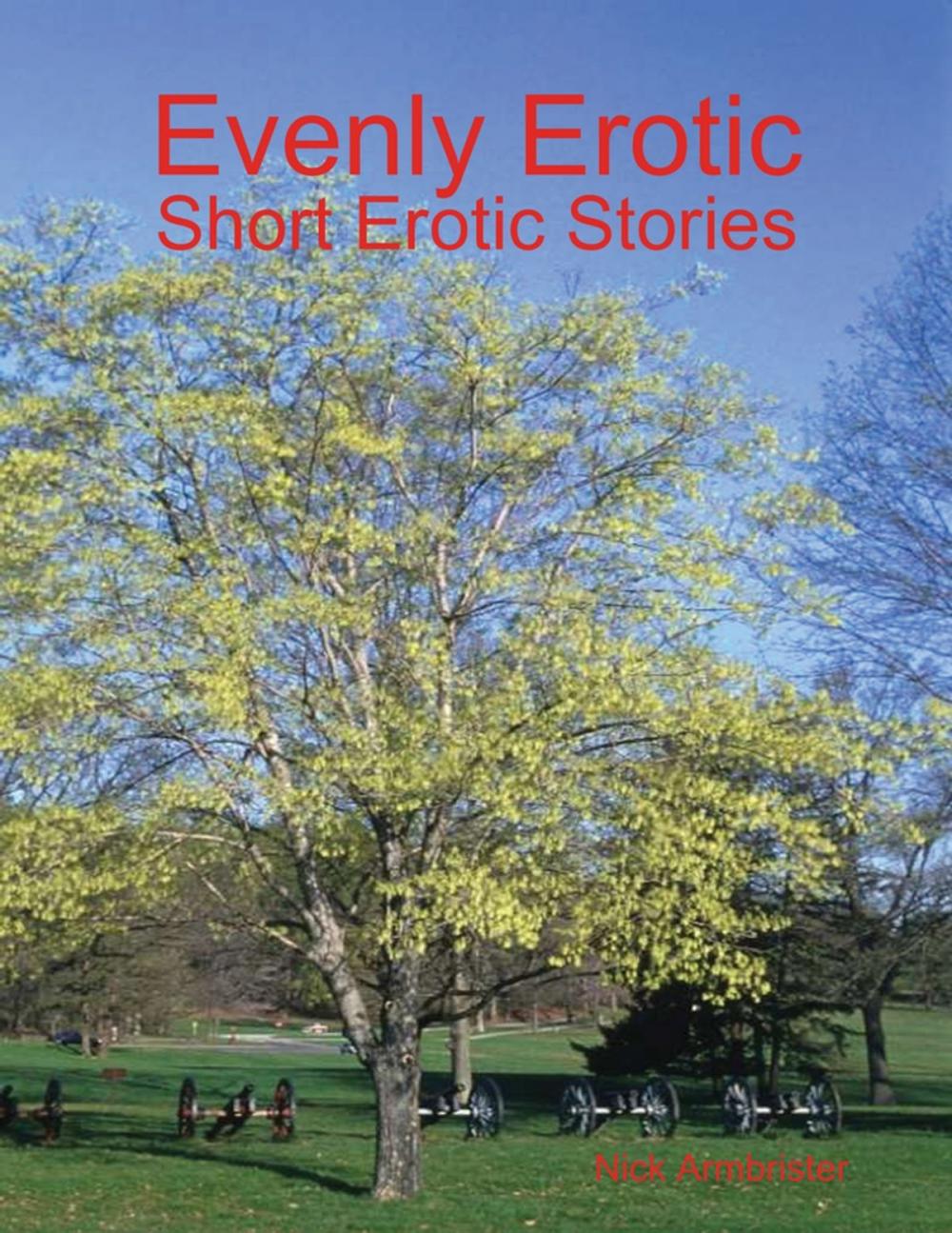 Big bigCover of Evenly Erotic: Short Erotic Stories