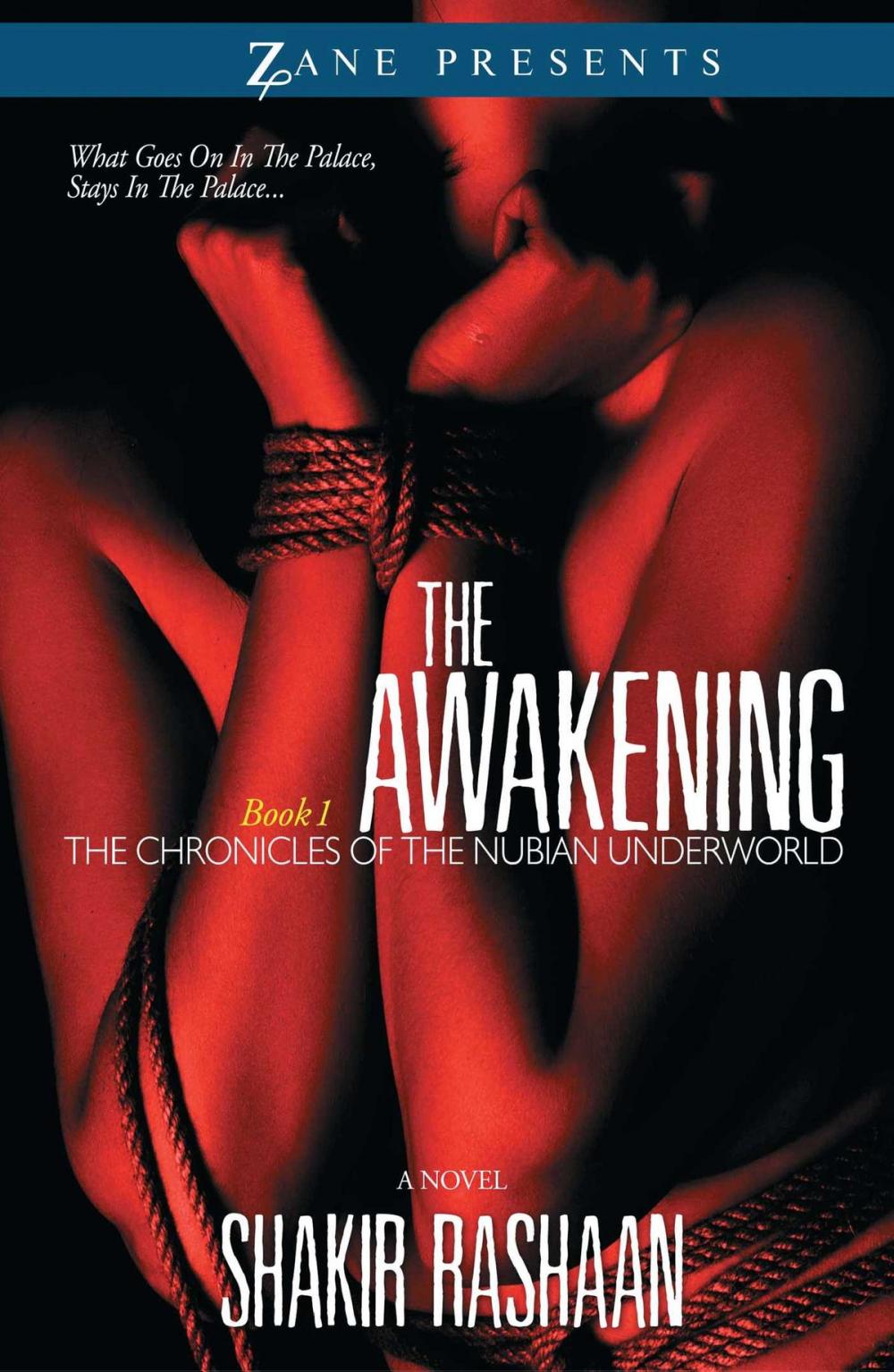 Big bigCover of The Awakening