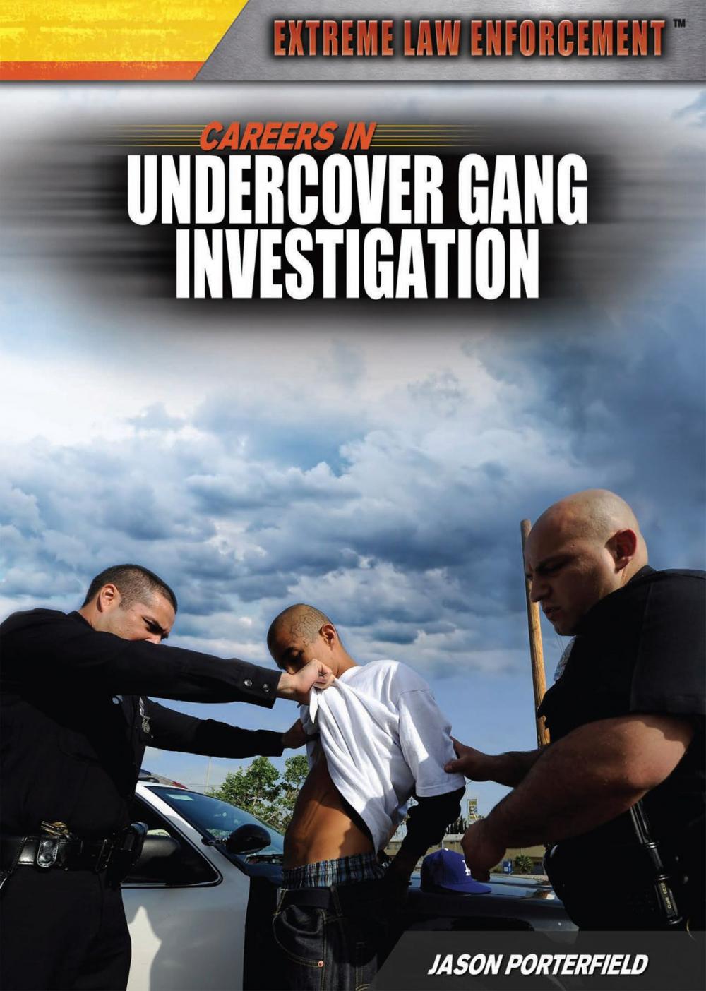 Big bigCover of Careers in Undercover Gang Investigation