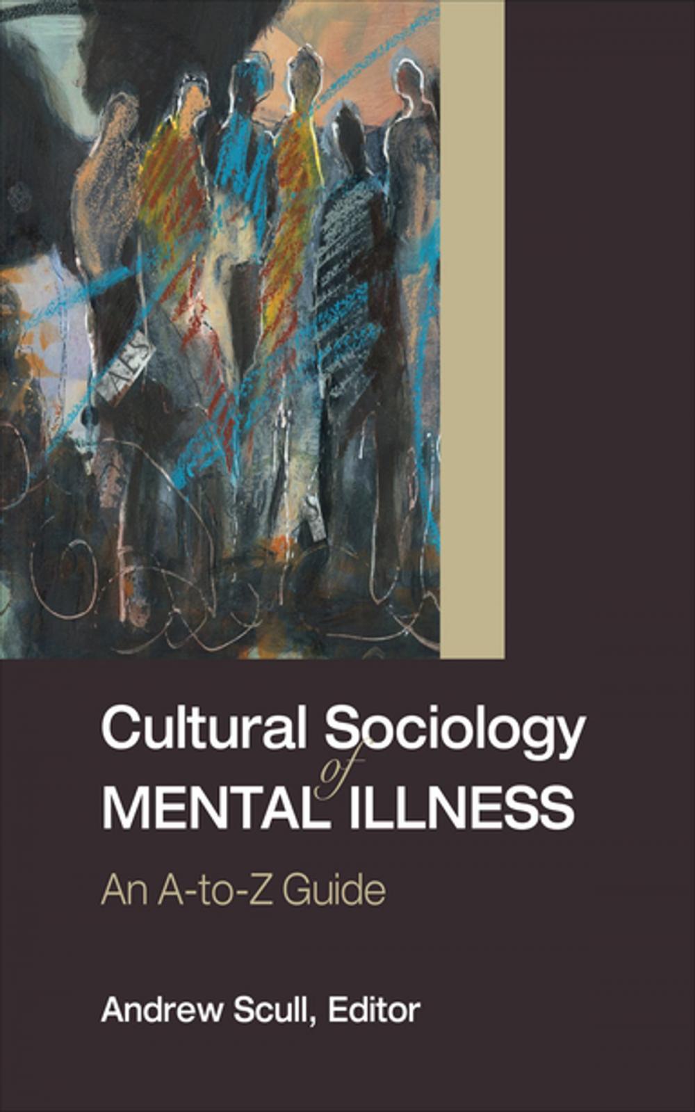 Big bigCover of Cultural Sociology of Mental Illness