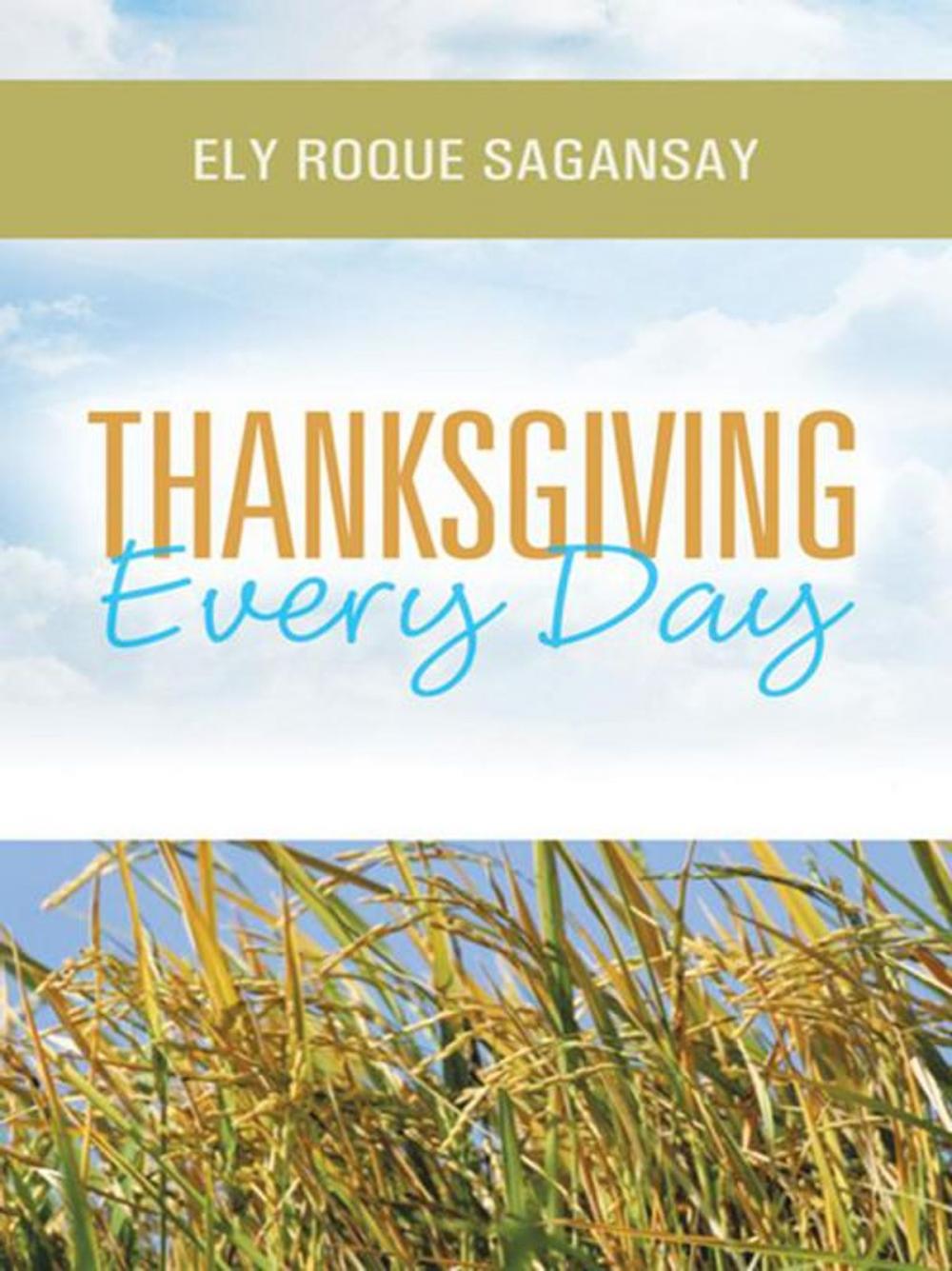 Big bigCover of Thanksgiving Every Day