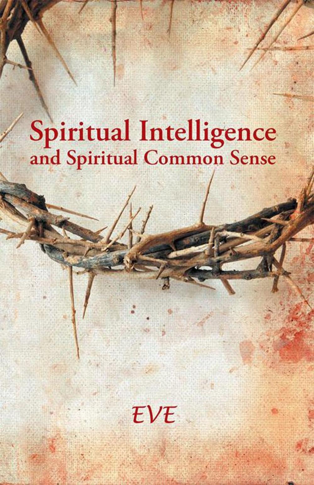 Big bigCover of Spiritual Intelligence and Spiritual Common Sense