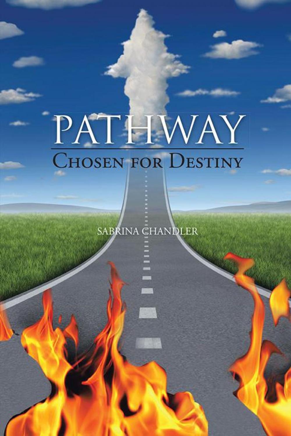 Big bigCover of Pathway