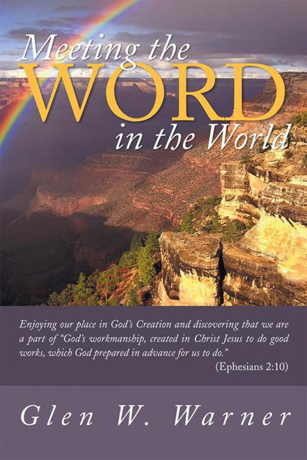 Big bigCover of Meeting the Word in the World