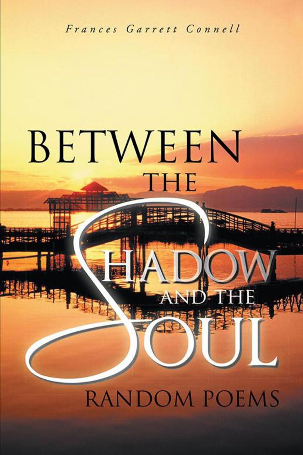 Big bigCover of Between the Shadow and the Soul