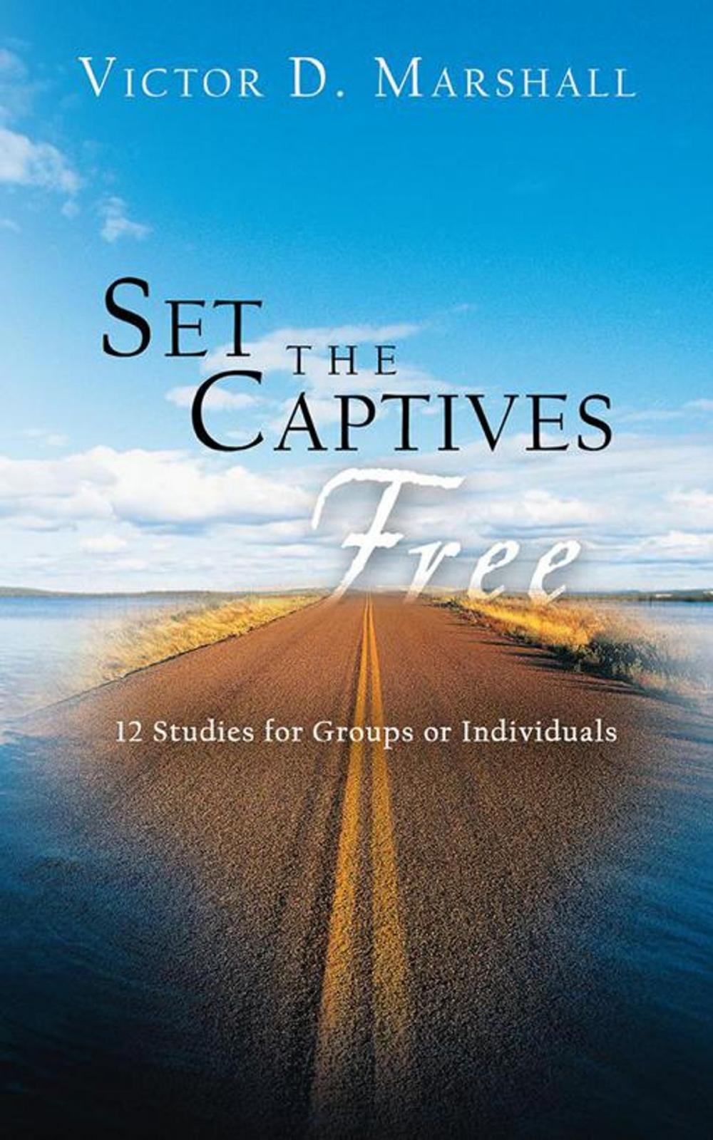 Big bigCover of Set the Captives Free