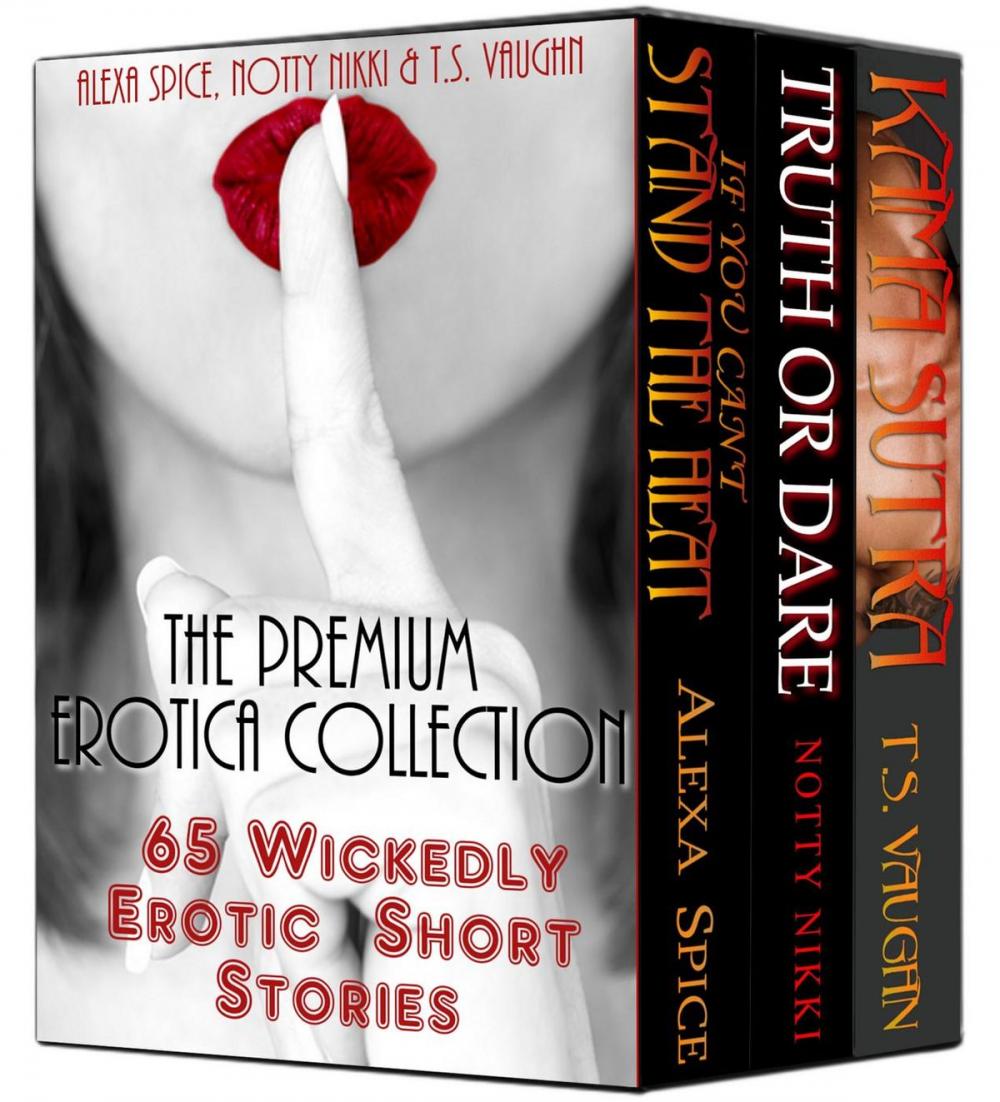 Big bigCover of The Premium Erotica Collection (65 Wickedly Erotic Short Stories)