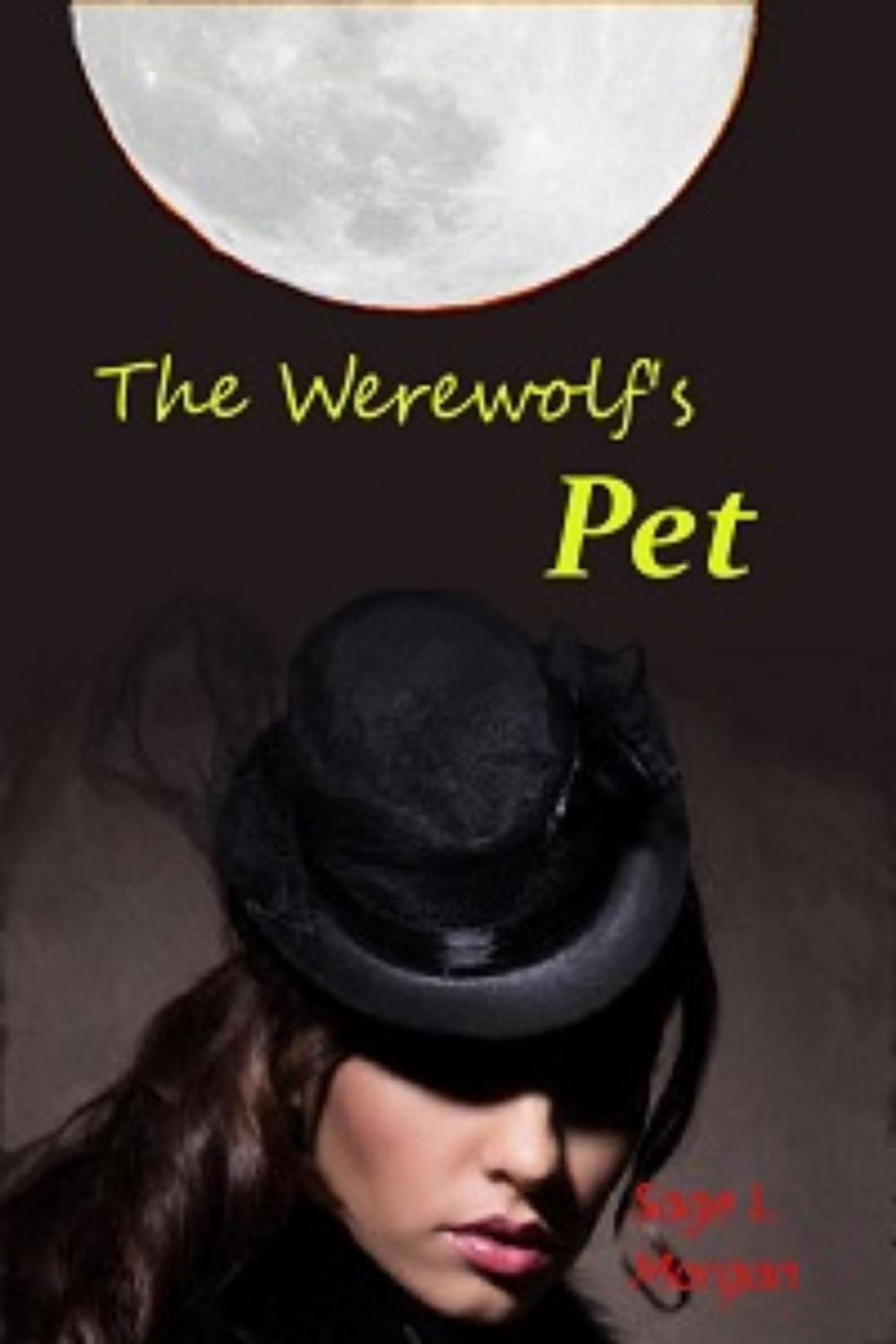 Big bigCover of The Werewolf's Pet