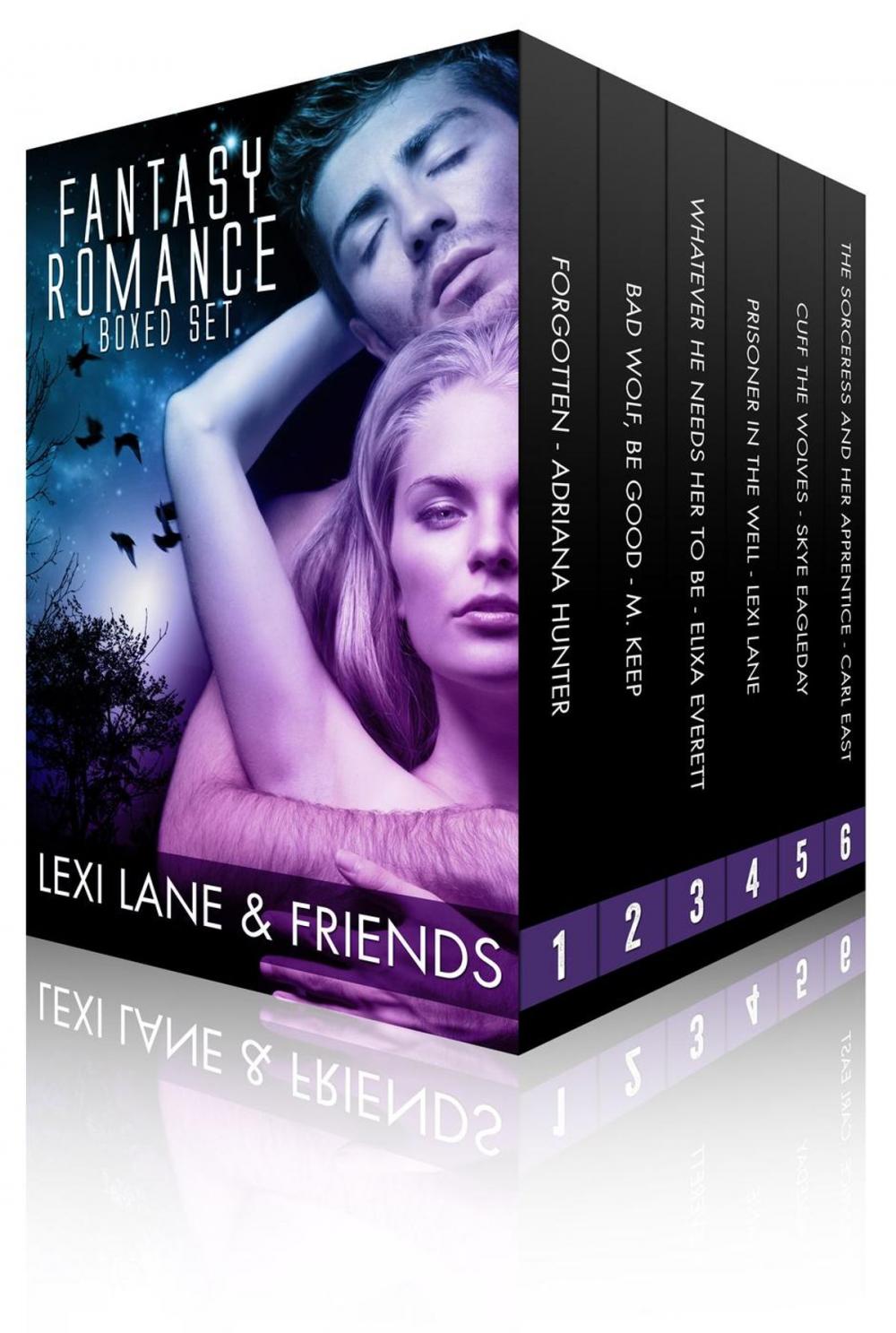 Big bigCover of Fantasy Romance Collection (Paranormal Fantasy Romance Boxed Set)