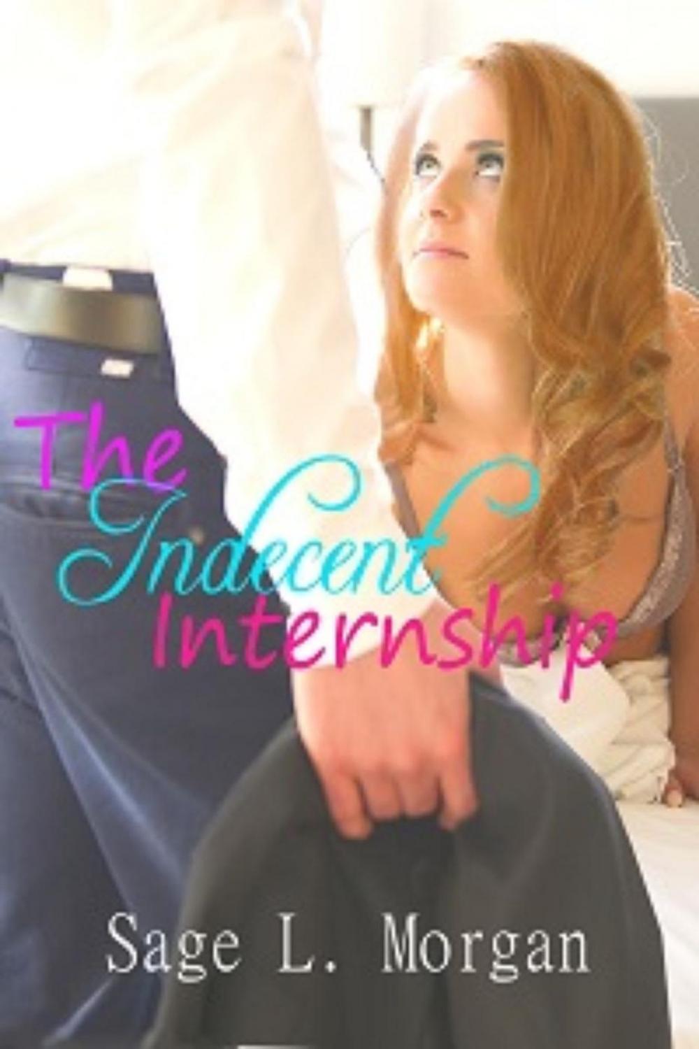 Big bigCover of The Indecent Internship