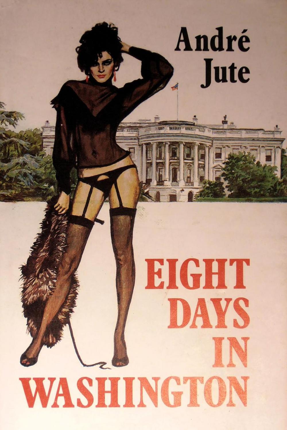 Big bigCover of Eight Days in Washington