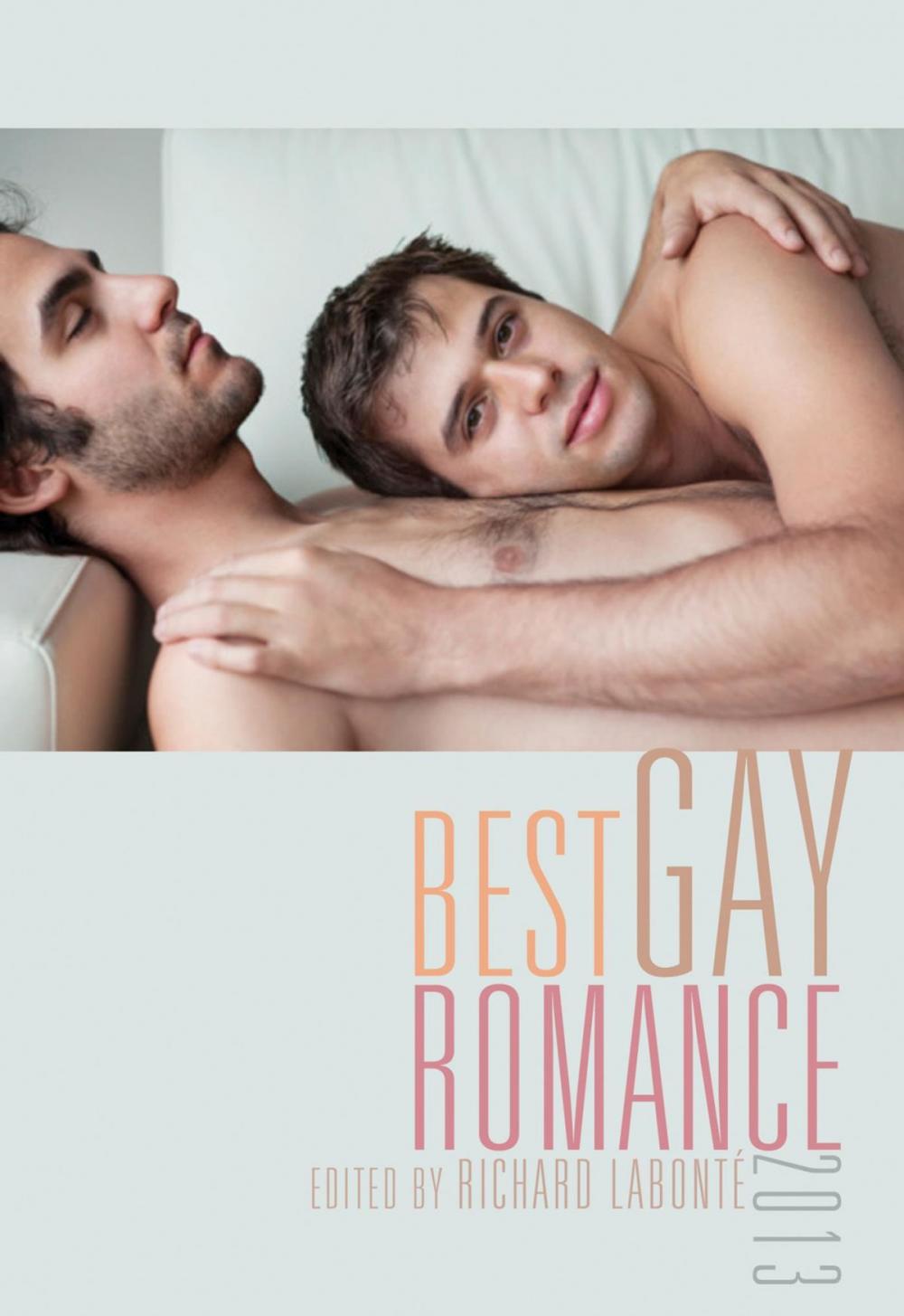 Big bigCover of Best Gay Romance 2013