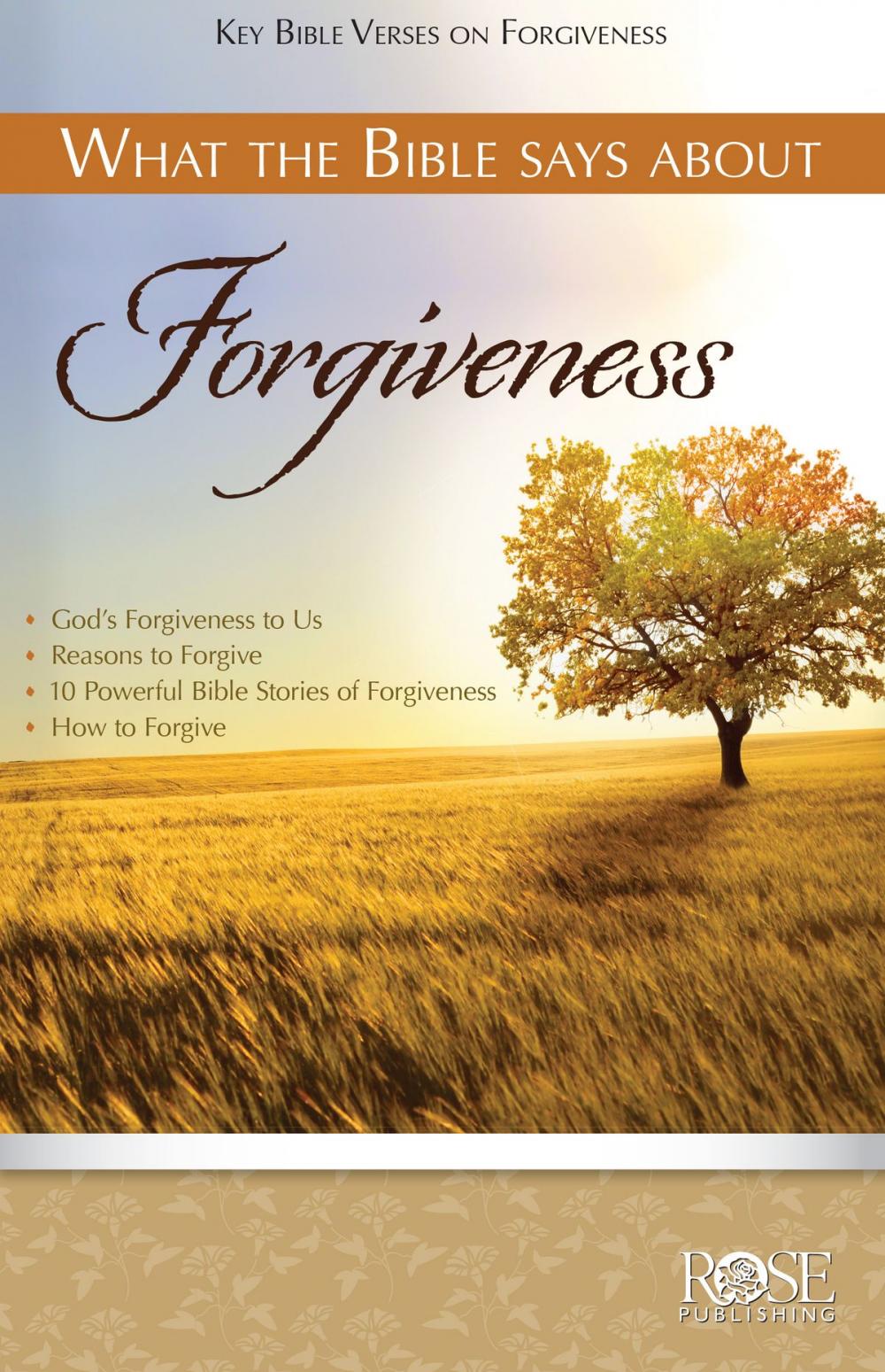 Big bigCover of What the Bible Says About Forgiveness