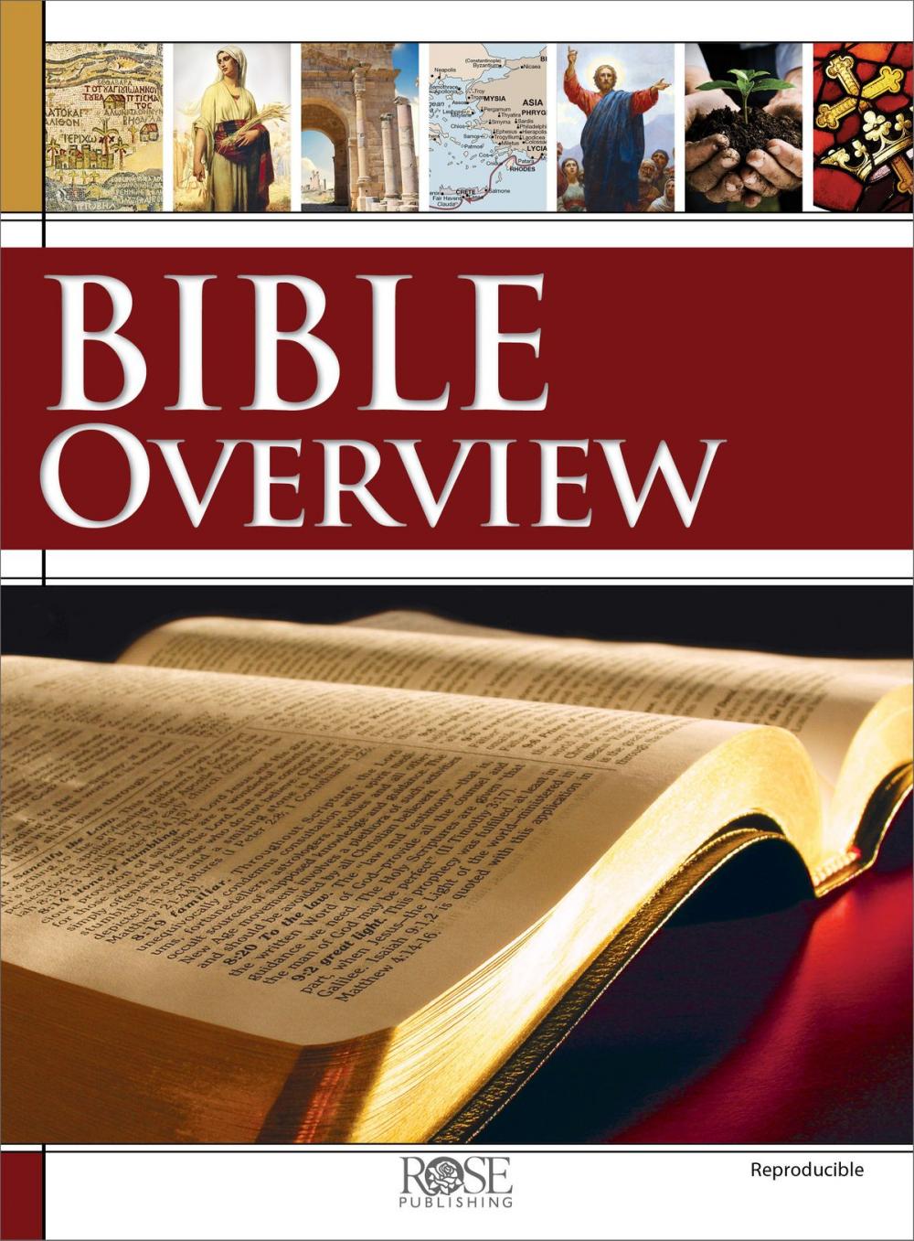 Big bigCover of Bible Overview Book