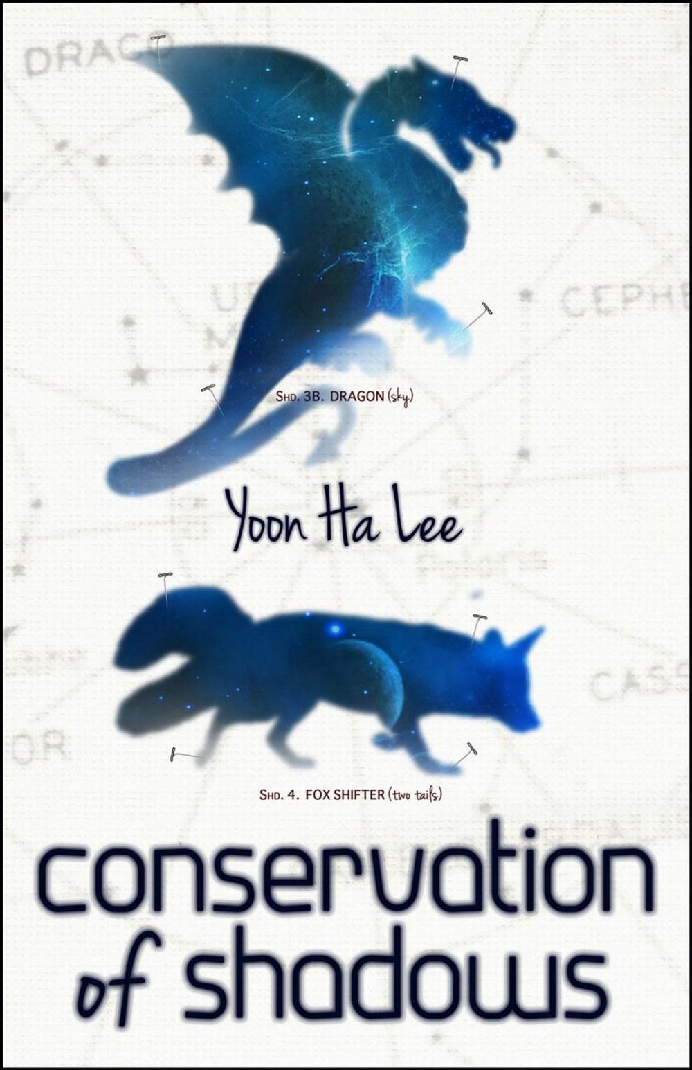 Big bigCover of Conservation of Shadows