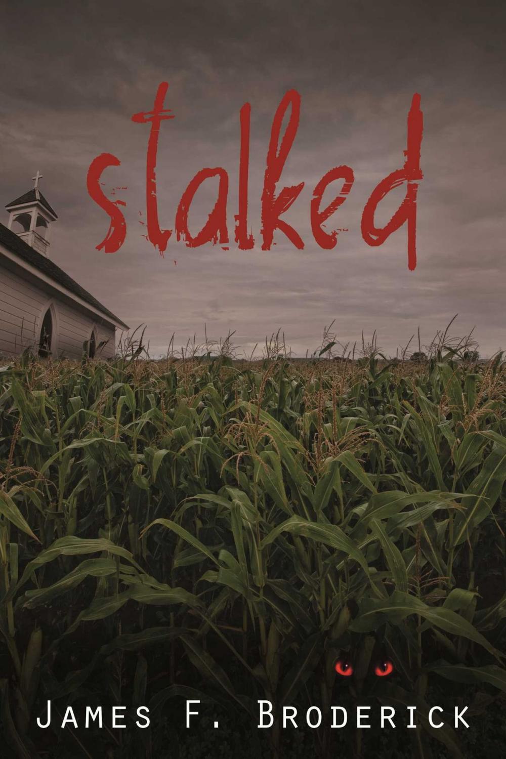 Big bigCover of Stalked