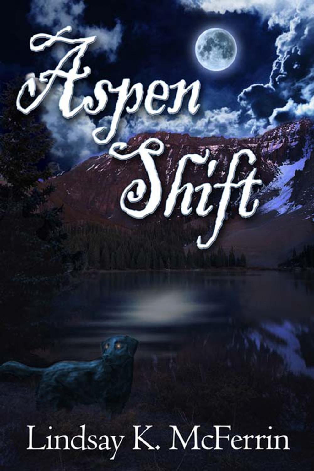 Big bigCover of Aspen Shift