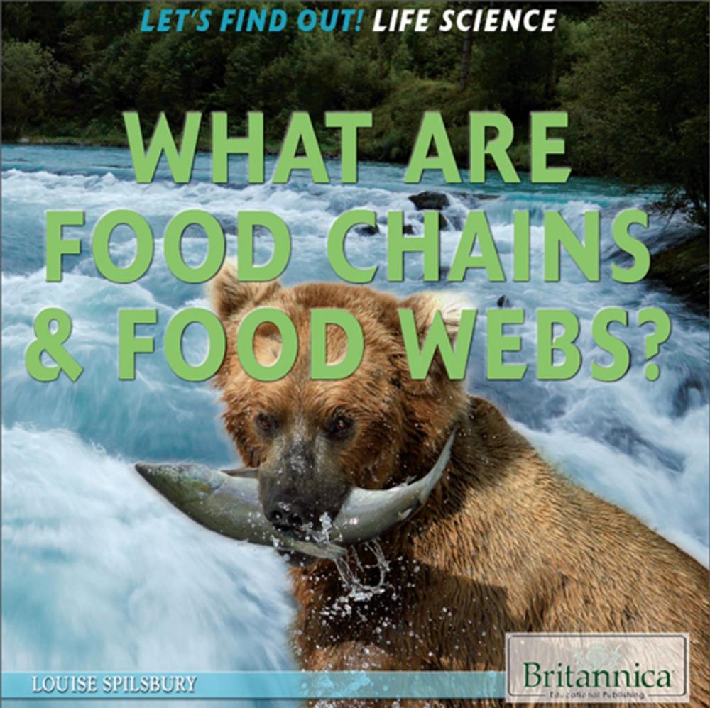 Big bigCover of What Are Food Chains & Food Webs?