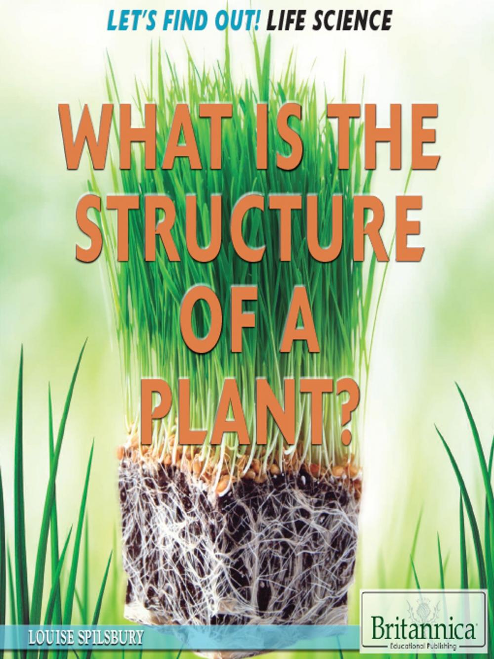 Big bigCover of What Is the Structure of a Plant?