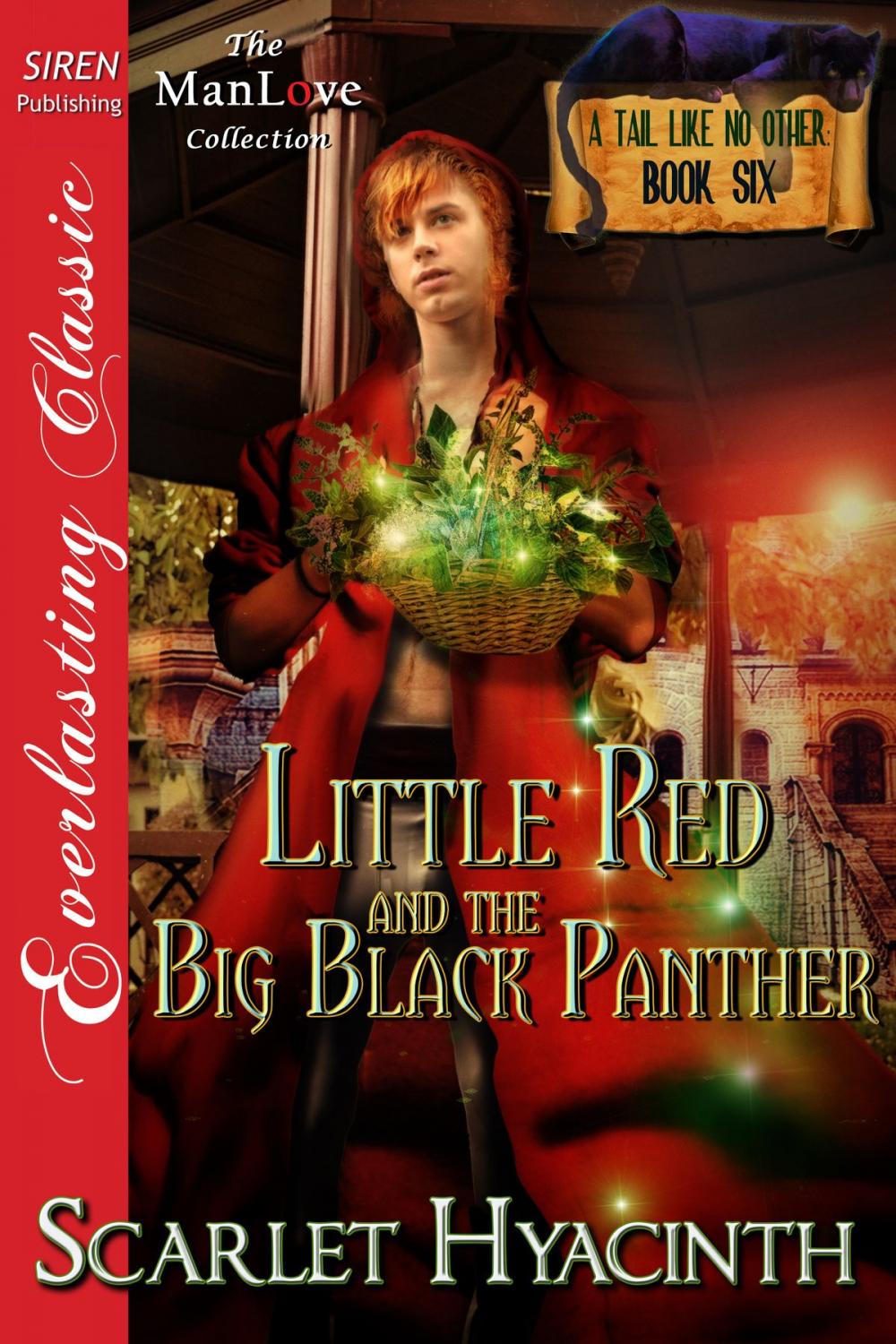 Big bigCover of Little Red and the Big Black Panther