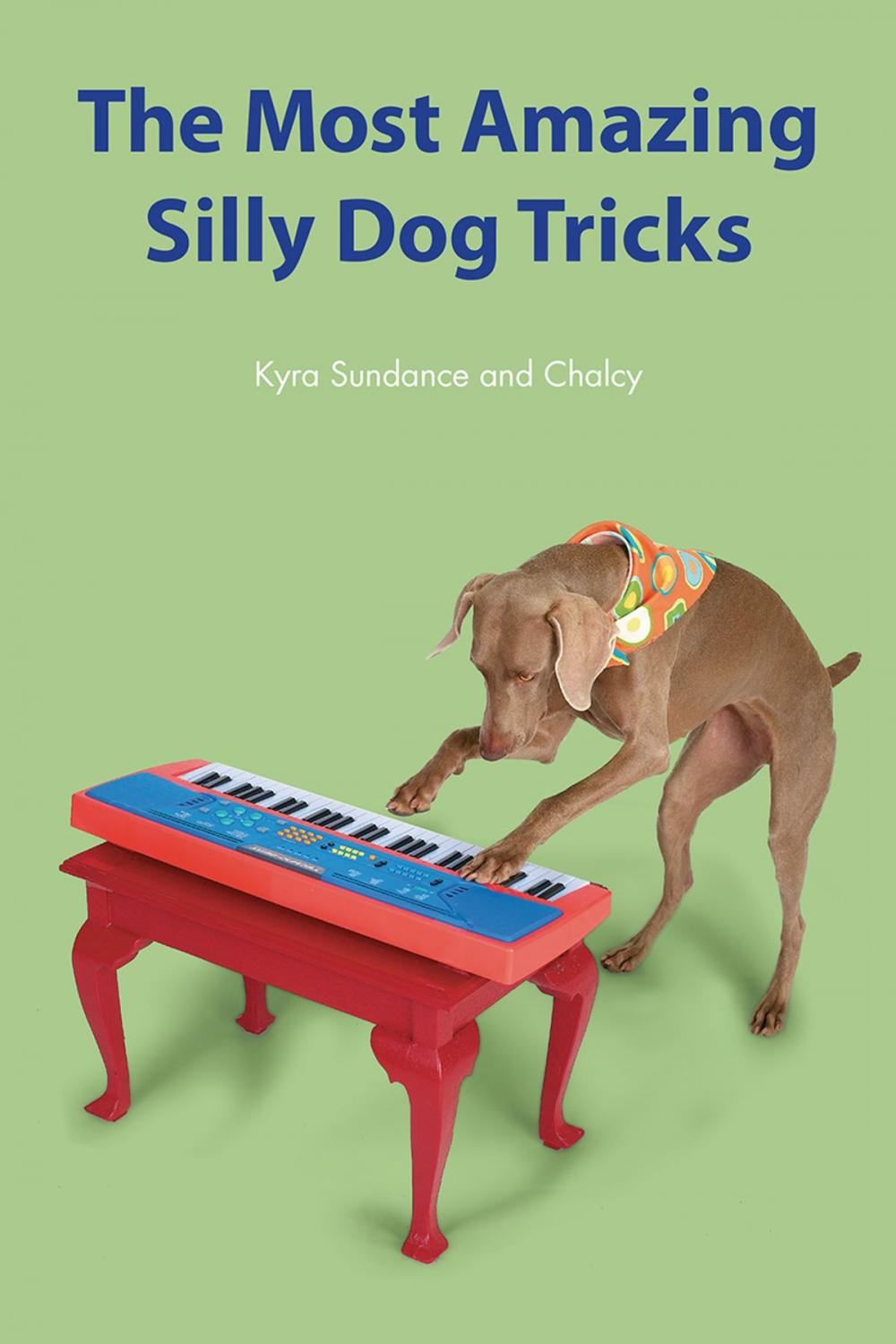 Big bigCover of The Most Amazing Silly Dog Tricks