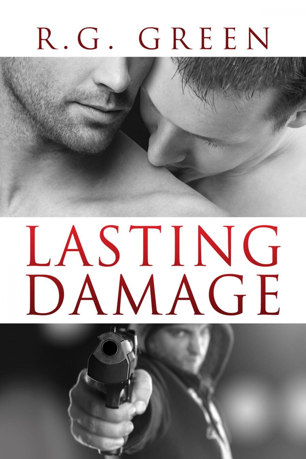 Big bigCover of Lasting Damage