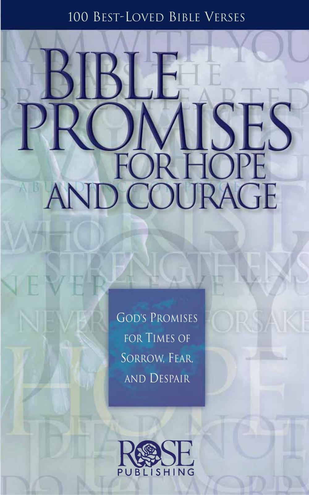 Big bigCover of Bible Promises for Hope and Courage